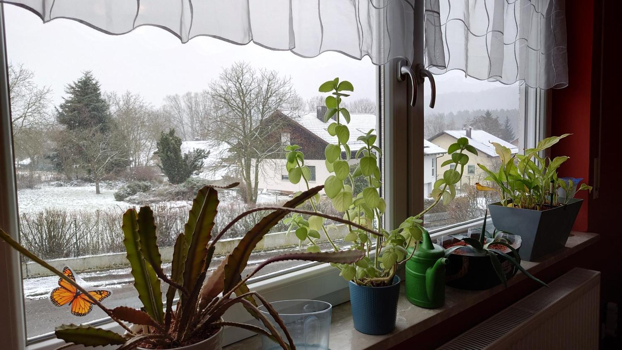 Ferienwohnung Rackl Furth im Wald Extérieur photo